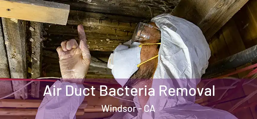 Air Duct Bacteria Removal Windsor - CA