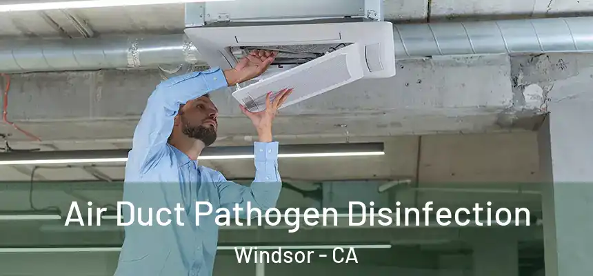 Air Duct Pathogen Disinfection Windsor - CA