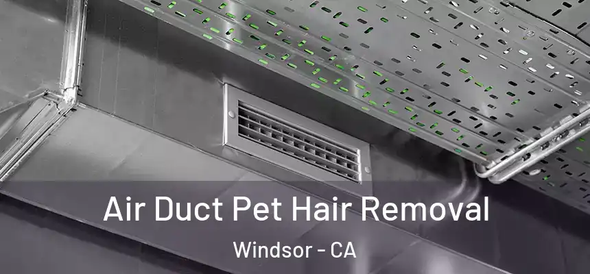 Air Duct Pet Hair Removal Windsor - CA