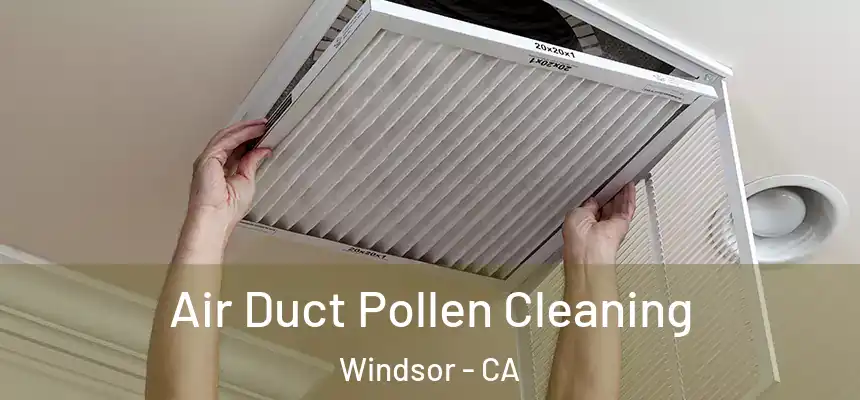 Air Duct Pollen Cleaning Windsor - CA