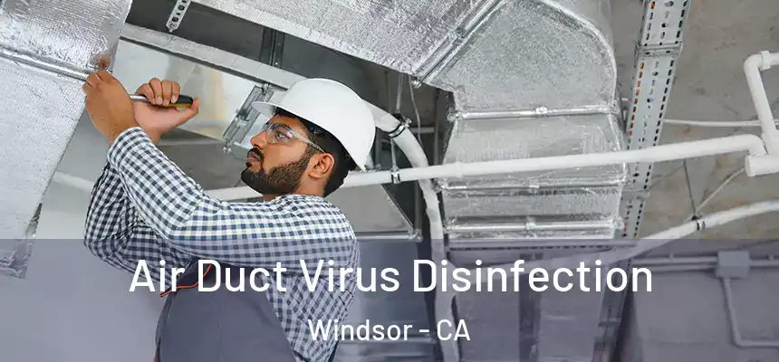 Air Duct Virus Disinfection Windsor - CA