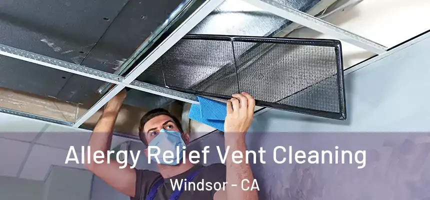 Allergy Relief Vent Cleaning Windsor - CA