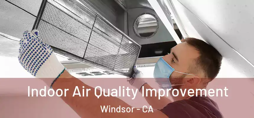  Indoor Air Quality Improvement Windsor - CA