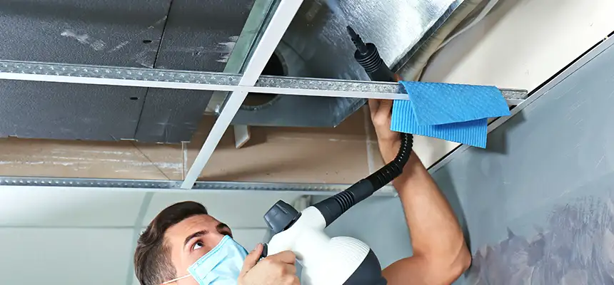 Our Air Duct Rodent Removal Services in Windsor, CA