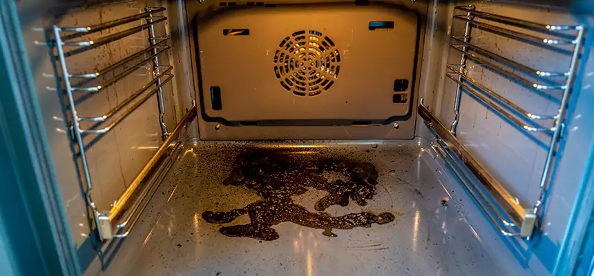 Our Dryer Vent Mold Cleaning Services in Windsor, CA