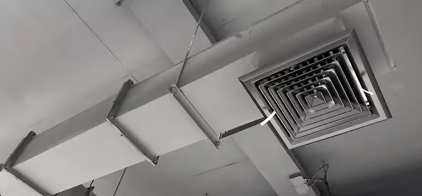 Our Rodent Droppings In Vents Services in Windsor, CA