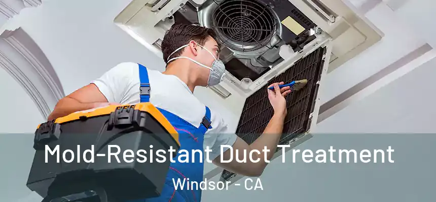 Mold-Resistant Duct Treatment Windsor - CA