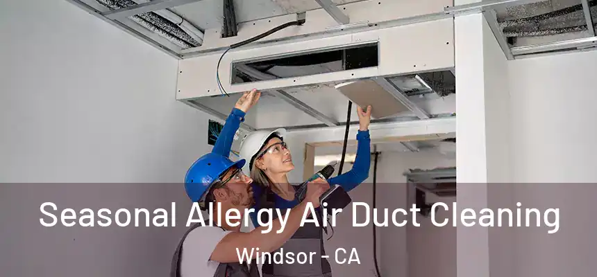  Seasonal Allergy Air Duct Cleaning Windsor - CA