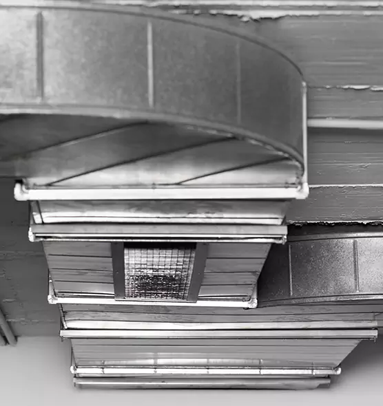 Professional Air Duct Pest Removal in Windsor, CA