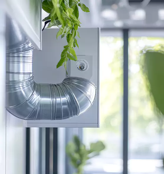 Professional Eco-Friendly Duct Cleaning Services in Windsor, CA