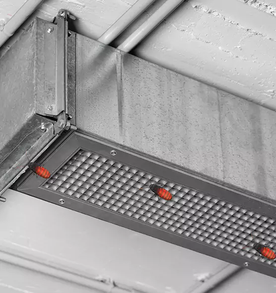 Affordable Insect Removal from Air Ducts in Windsor, CA
