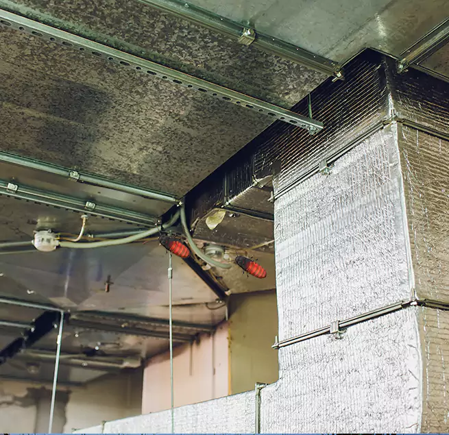 Why Homeowners & Businesses Trust Us in Windsor, CA?