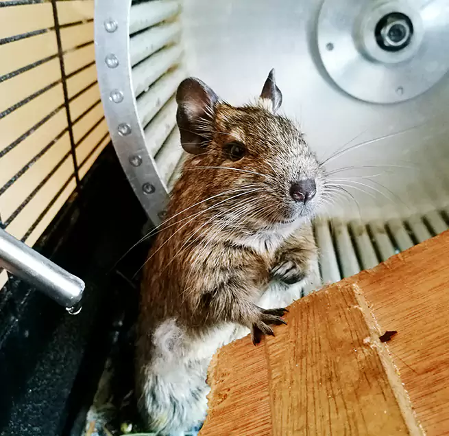 Why Homeowners & Businesses Trust Us Windsor, CA?