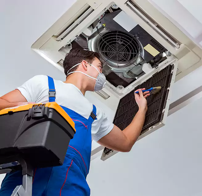 Why Homeowners & Businesses Trust Us in Windsor, CA