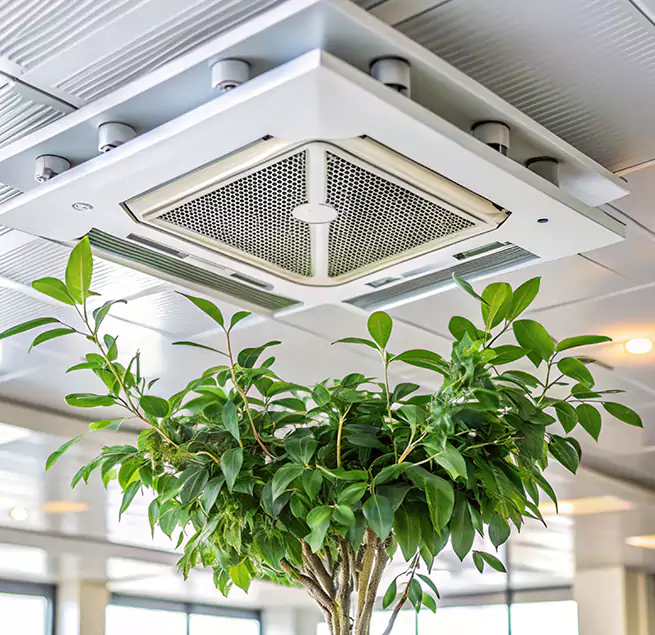 Why Homeowners & Businesses Trust Us in Windsor, CA?