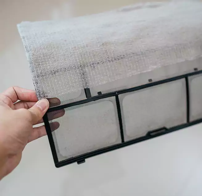 Why Homeowners & Businesses Trust Us in Windsor, CA?