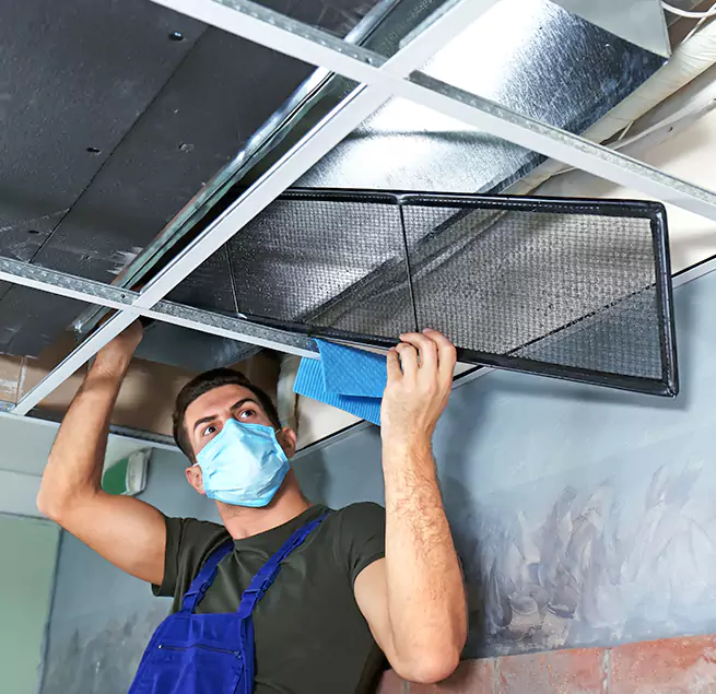 Why Homeowners Businesses Trust Us in Windsor, CA?